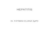 Hepatitis Tifosa 1