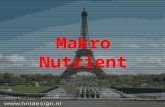 1. Macro Nutrients