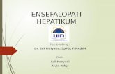 Case Ensefalopati Hepatikum
