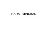 Hara Mineral_fistum_2010
