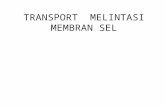 14.Transport Transmembran