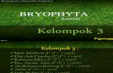 Kelompok 3 (Farmasi a'11)Bryophyta