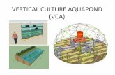 Vertical Culture Aquapond
