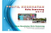 Profil Kesehatan Kota Semarang 2012