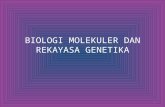 6. Biologi Molekuler Dan Rekayasa Genetika