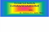 TOKSEMIA GRAVIDARUM