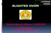 Blighted Ovum (Lapsus2)
