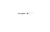 Anatomi GIT (Gastro Intestinal Track)