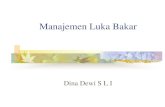167204210 Manajemen Luka Bakar