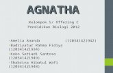 Presentasi Agnatha Fix
