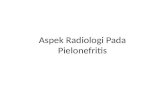 Aspek Radiologi Pada Pielonefritis