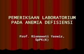Pem Lab Def Kuliah Pakar Prof Rismawati