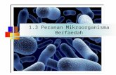 1.3-Peranan Mikroorganisma Berfaedah