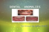 Dental Anomalies Slides 011