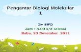 KUL 1 Biomolekular 23 Nov SWD