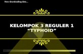 Tt Typhoid Kelompok 3