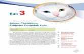 eBook Panduan Belajar Photoshop Cs3
