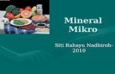 Materi Gizi - Mineral Mikro