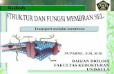 transport membrane (lengkap)
