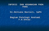 Patologi Anatomi Dr Deliana