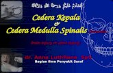 Trauma Kepala - Medula Spinal