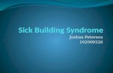 163793726 Sick Building Syndrome