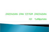 4. Jaringan Dan Sistem Jaringan Pada Tumbuhan Agroteknologi 2011