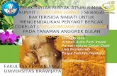 Uji Efektivitas Minyak Atsiri Rimpang Kunyit (Curcuma