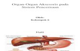 PPT Organ-Organ Aksesoris Pada Sistem Pencernaan