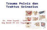 Trauma Pelvis Dan Urologi