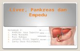 2012B Kelompok 2. Liver, Pankreas Dan Ginjal
