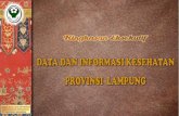 Ringkasan Eksekutif Prov Lampung.pdf