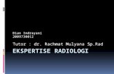 Ekspertise Radiologi 1 Dian Edit