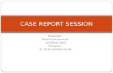 Case Report Session Raka Dhf +++++