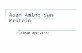Protein-Blok v KU-Maret 2012