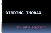 Dinding Thorax- Ppt