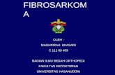 Fibrosarkoma Slide