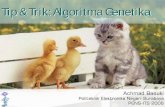 Tips dan Trik Algoritma Genetika
