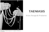 Taeniasis - IPD 1
