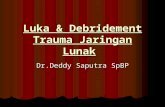 Luka & Debridement Trauma Plus