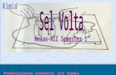 Sel Volta XII-1 KD 2.1 (rev 16-09-2008)