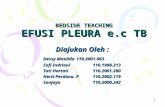 Bedside Teaching Efusi Pleura