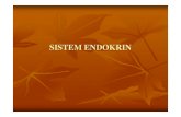 Sistem Endokrin Manusia
