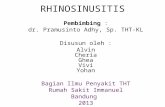 Rhinosinusitis Dr Pramusinto