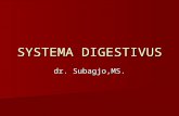 Syst Digestiv
