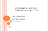 Pemeriksaan Pap Smear Dan Iva Test - Rien Novia Maulida 08310259