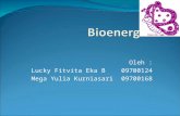 bioenergetika presentasi