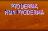 Pyoderma-NonPyoderma 1