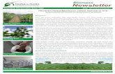 Newsletter Biomass (Edisi II)