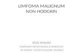 Limfoma (Kuliah 3a Ipd III)